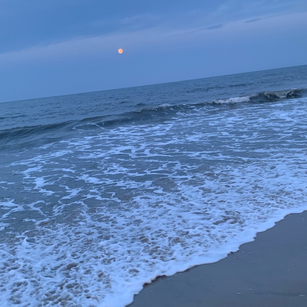 Meet your Posher, Marina